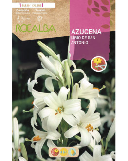 ROCA AZUCENAS BLANCO BOLSA...