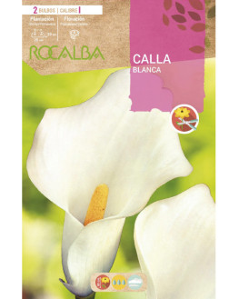 ROCA CALLAS BLANCO BOLSA...