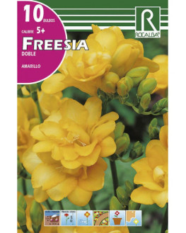 ROCA FREESIAS DOBLES...