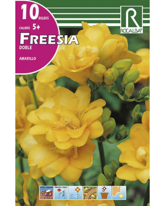 ROCA FREESIAS DOBLES AMARILLO BOLSA...