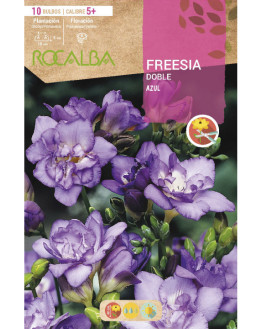 ROCA FREESIAS DOBLES AZUL...