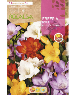 ROCA FREESIAS DOBLES MEZCLA...