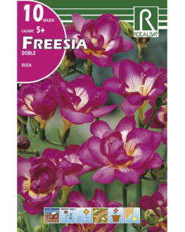 ROCA FREESIAS DOBLES ROSA...
