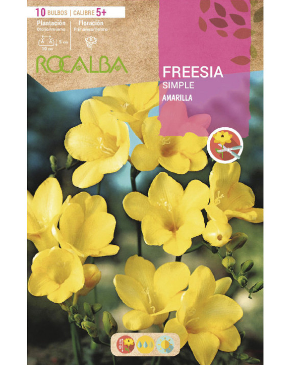 ROCA FREESIAS SIMPLES AMARILLO BOLSA...