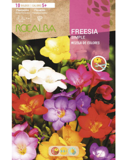ROCA FREESIAS SIMPLES MESCA...