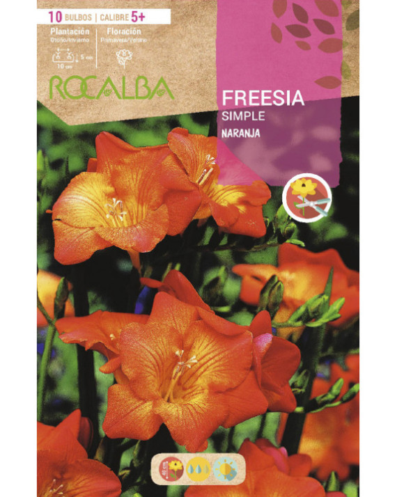 ROCA FREESIAS SIMPLES NARANJA BOLSA...
