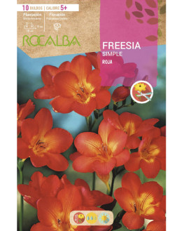 ROCA FREESIAS SIMPLES ROJO...