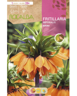 ROCA AURORA NARANJA BOLSA...