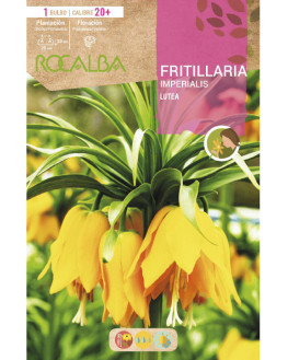 ROCA LUTEA AMARILLO BOLSA...