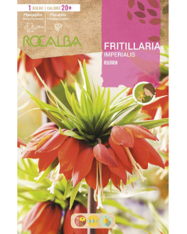 ROCA RUBRA ROJO BOLSA EBFT6475