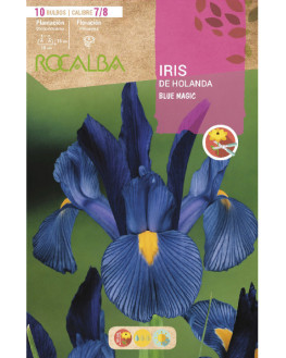 ROCA BLUE MAGIC AZUL...