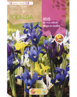 ROCA IRIS DE HOLANDA MEZCLA...