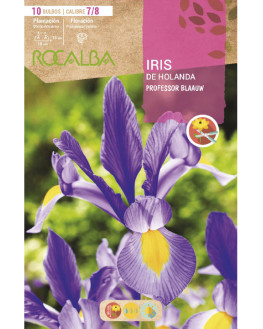 ROCA PROFESSOR BLAAUW AZUL...