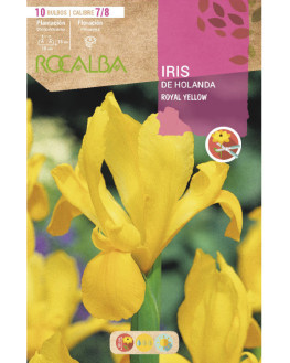 ROCA ROYAL YELLOW AMARILLO...