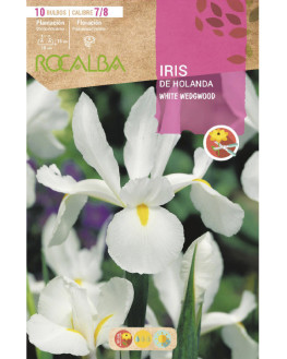 ROCA WHITE WEDGWOOD BLANCO...