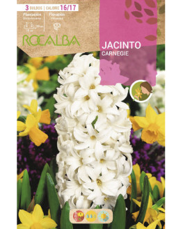 ROCA CARNEGIE BLANCO BOLSA...