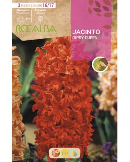 ROCA GIPSY QUEEN NARANJA...