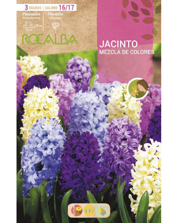 ROCA JACINTOS MEZCLA DE FLORES BOLSA...