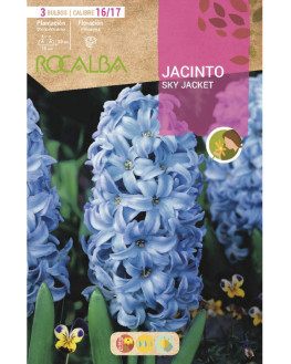 ROCA SKY JACKET AZUL CLARO...