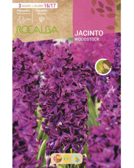 ROCA WOODSTOCK ROJO PURPURA...