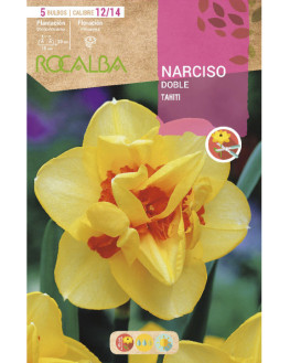 ROCA TAHITI AMARILLO CENTRO...