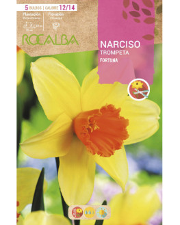 ROCA FORTUNA AMARILLO...