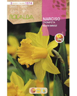 ROCA GOLDEN HARVEST...