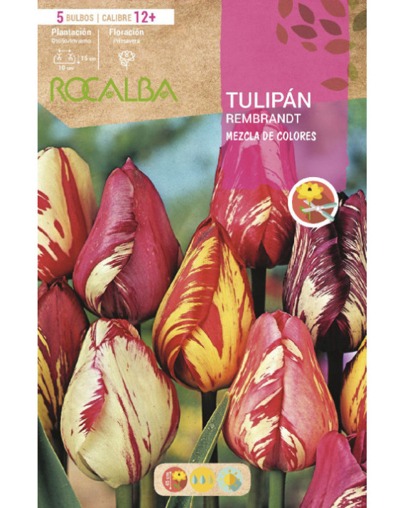 ROCA REMBRANDT MEZCLA DE COLORES...