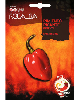ROCA PIMIENTO PICANTE...
