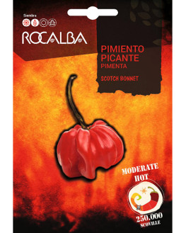 ROCA PIMIENTO PICANTE...