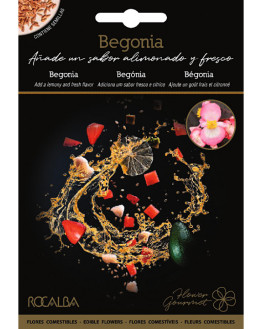 ROCA BEGONIA GOURMET  BOLSA...
