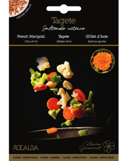 ROCA TAGETE GOURMET BOLSA...