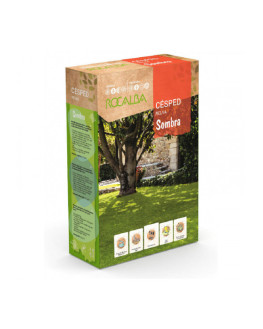 ROCA  CESPED SOMBRA...