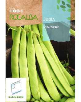 ROCA JUDIA HELDA ENRAME...