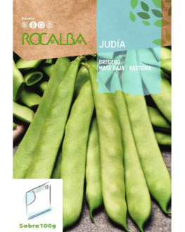 ROCA JUDIA BREDERO MATA...