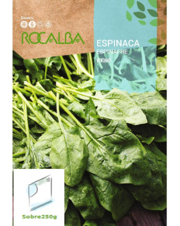 ROCA ESPINACA VIKING DE...
