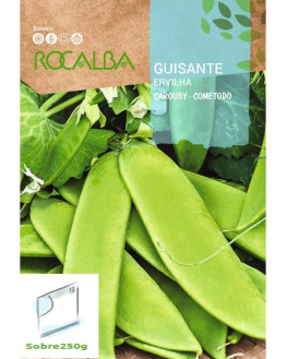 ROCA GUISANTE  CAROUBY...