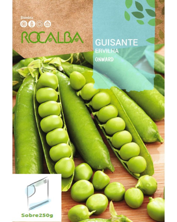 ROCA GUISANTE ONWARD 250GR LEGU4085250G