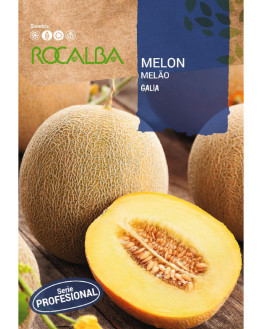 ROCA MELON GALIA SHBP0990