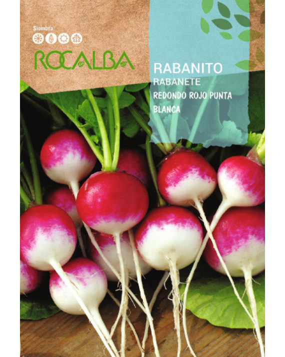 ROCA RABANITO REDONDO ROJO PUNTA