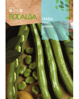 ROCA HABA AGUADULCE SHEB1935