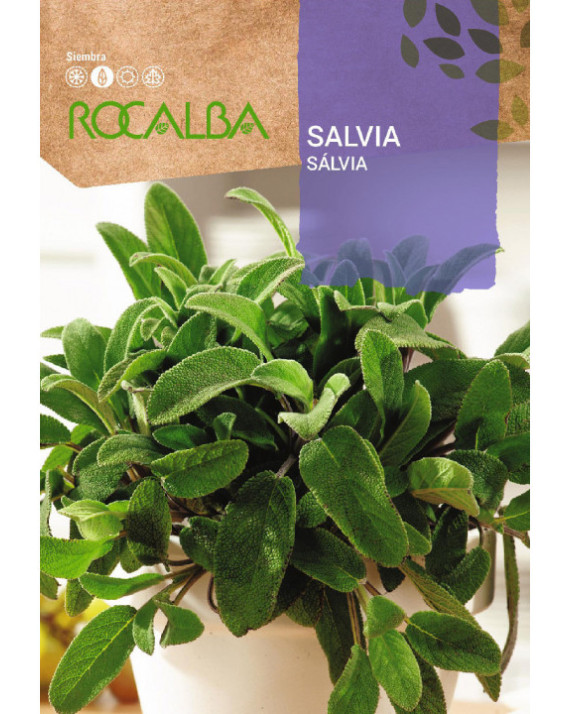 ROCA SALVIA BOLSA FNAM7905