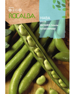 ROCA HABA MUCHAMIEL...