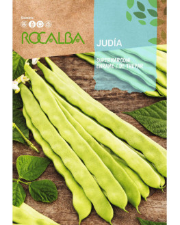 ROCA JUDIA SUPERMARCONI...