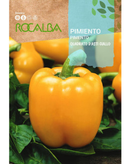 ROCA PIMIENTO QUADRATO...