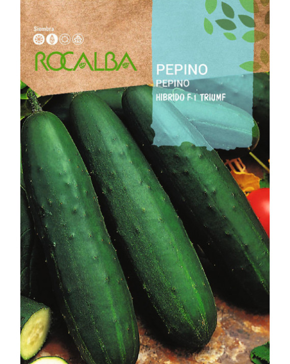 ROCA PEPINO TRIUMF SHBN1062