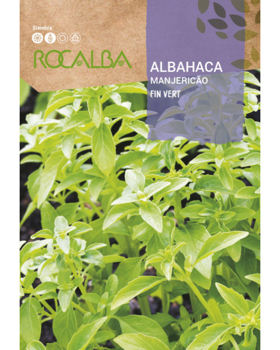 ROCA ALBAHACA FIN VERT FNAM7799