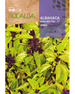 ROCA ALBAHACA CANELA FNAM7801