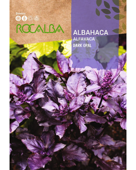 ROCA ALBAHACA DARK OPAL FNAM7803