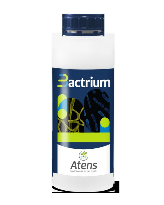 BACTRIUM 1 LITRO BACTRIUM 1 LITRO
